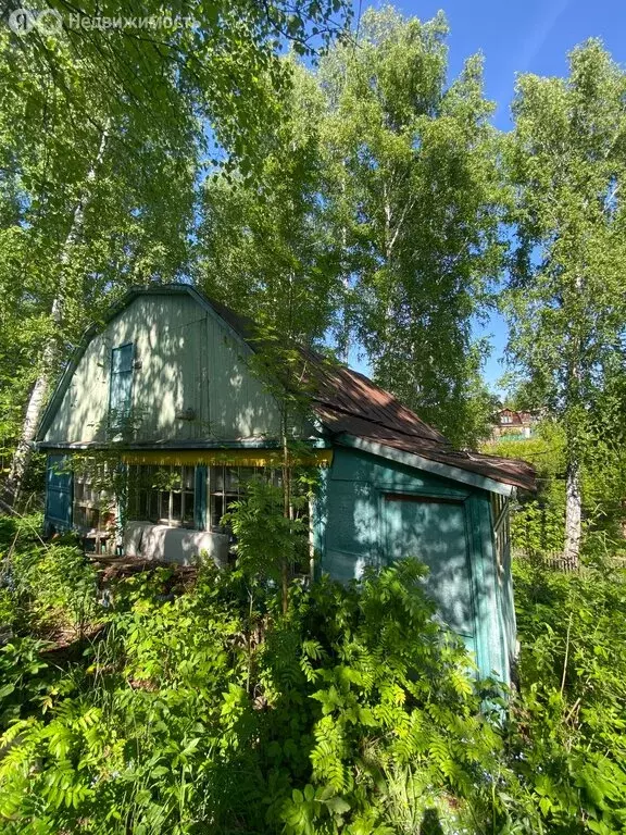 Участок в Раздольненский сельсовет, СНТ Космос, Цветочная улица (6 м) - Фото 0
