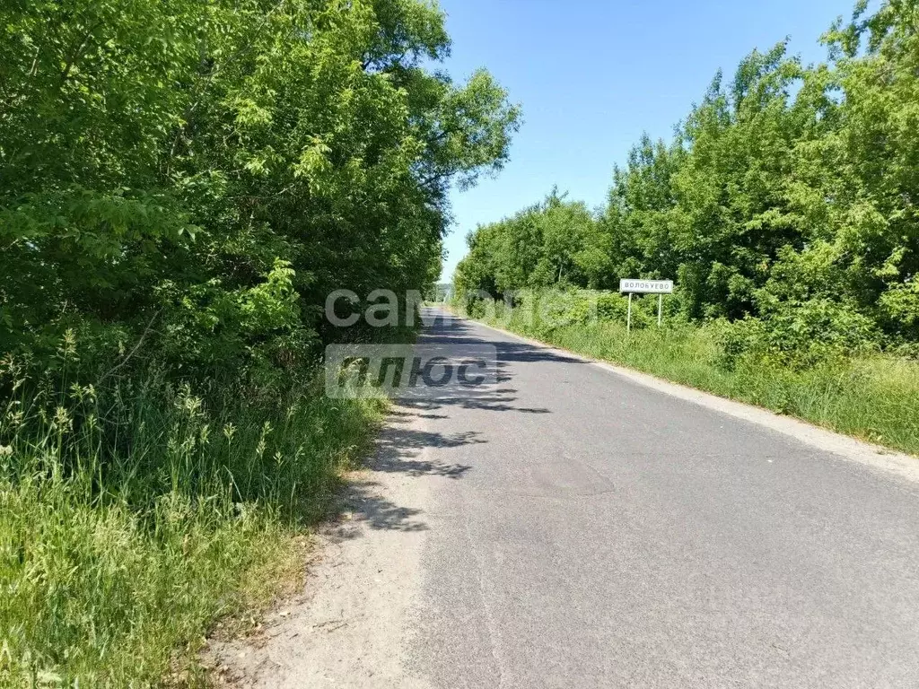 Участок в Курская область, Курский район, Камышинский сельсовет, д. ... - Фото 0
