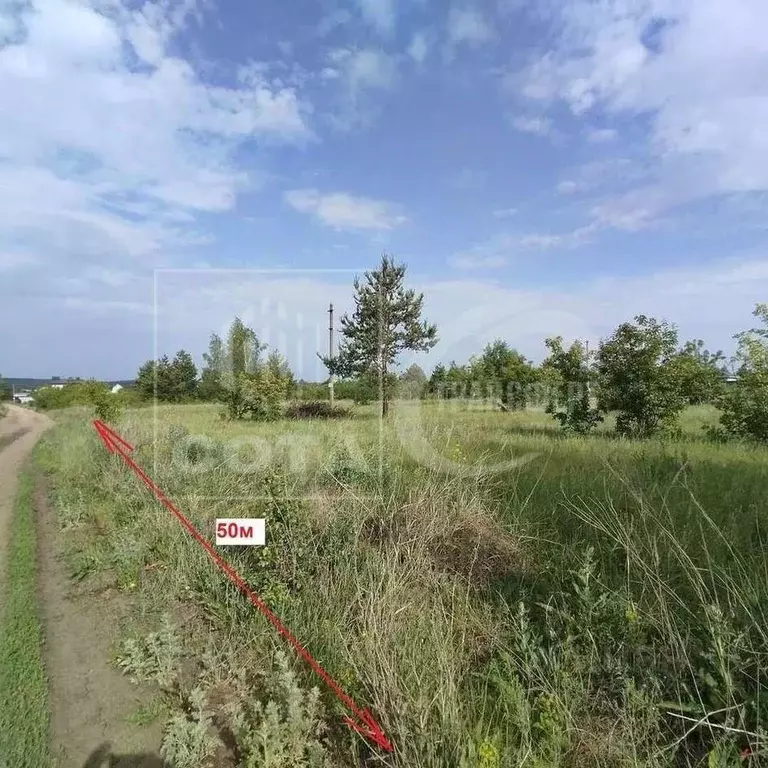 Участок в Воронежская область, Рамонский район, Новоживотинновское ... - Фото 2