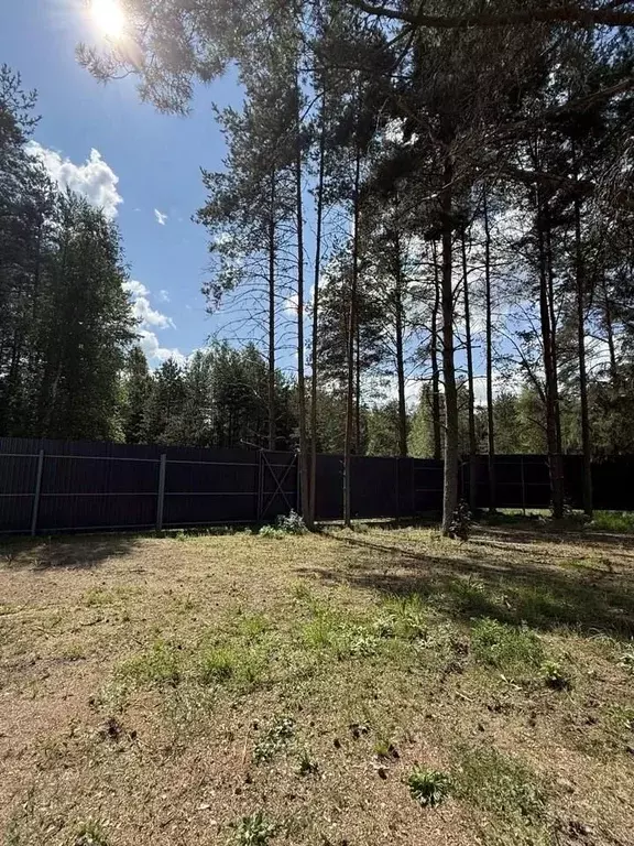 Участок в Новгородская область, Валдайский район, Рощинское с/пос, д. ... - Фото 2