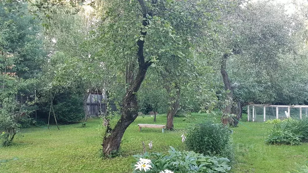 Участок в Московская область, Люберцы городской округ, Малаховка пгт ... - Фото 2