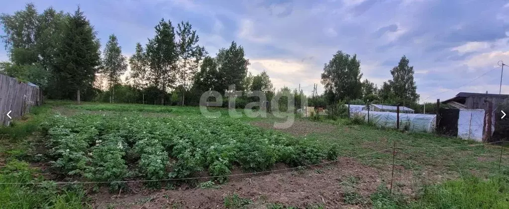 Участок в Костромская область, Кострома Огонек-2 СНТ, 7 (7.2 сот.) - Фото 1