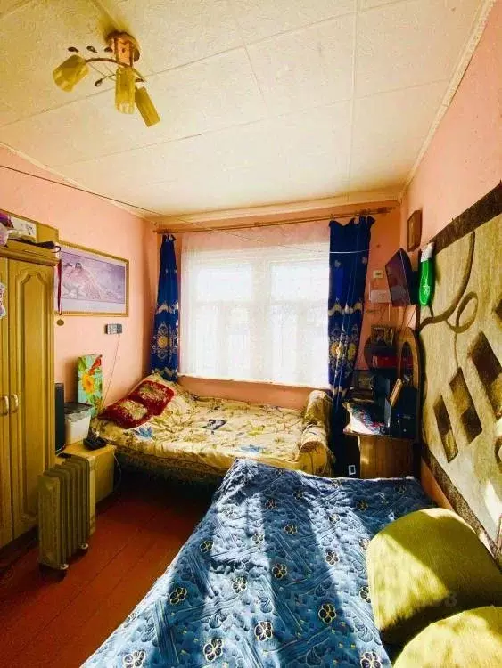 2-к кв. Иркутская область, Иркутск ул. Лыткина, 2 (29.2 м) - Фото 1