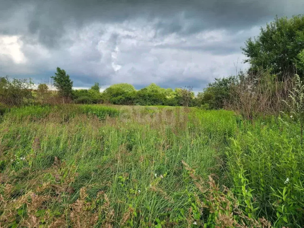 Участок в Калининградская область, Багратионовский муниципальный ... - Фото 1