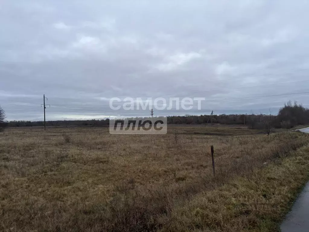 Участок в Курская область, Курский район, Шумаковский сельсовет, д. ... - Фото 1