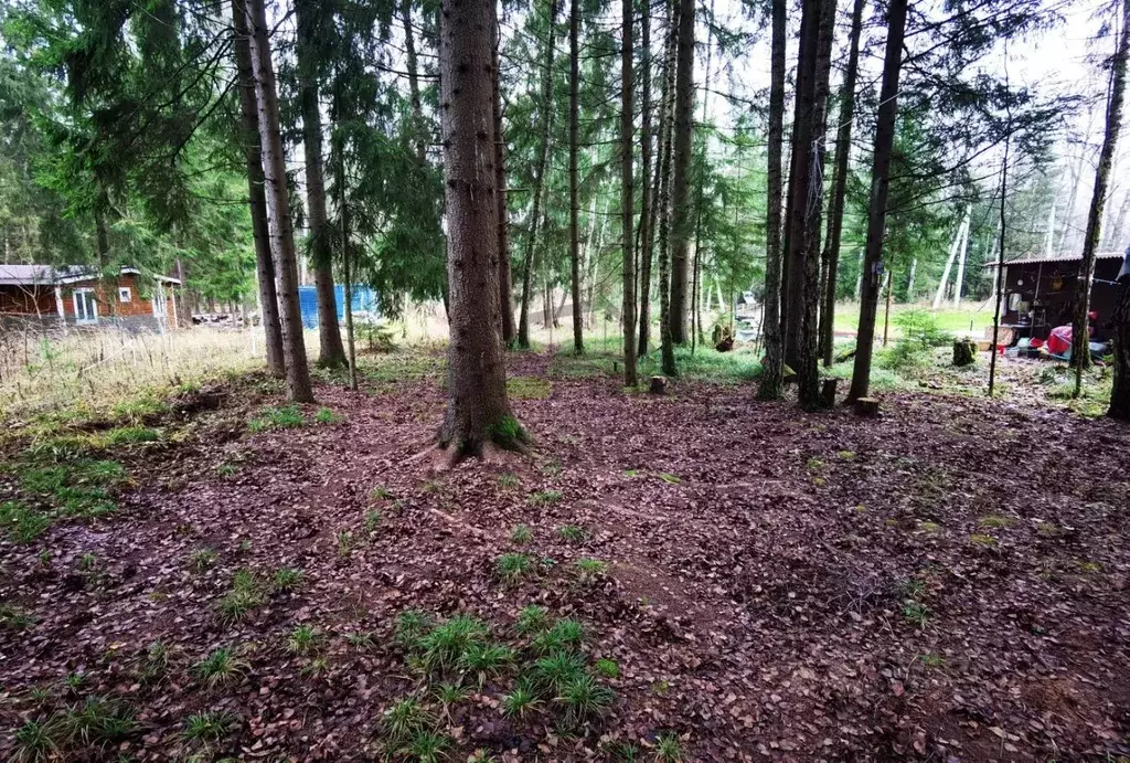 Участок в Калужская область, Боровский муниципальный округ, Кривское ... - Фото 1