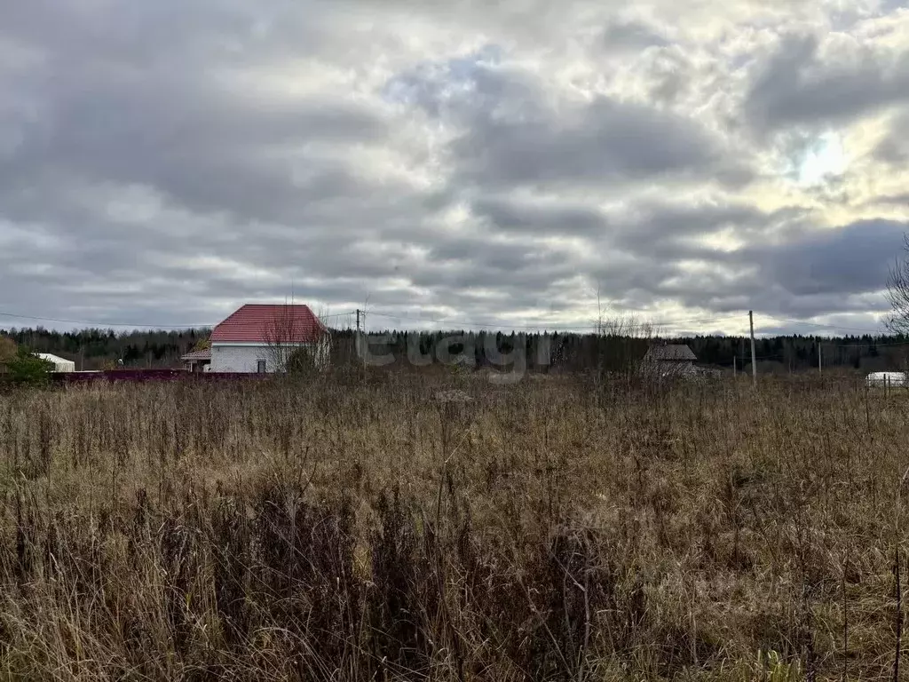 Участок в Смоленская область, Смоленский муниципальный округ, д. Борок ... - Фото 1