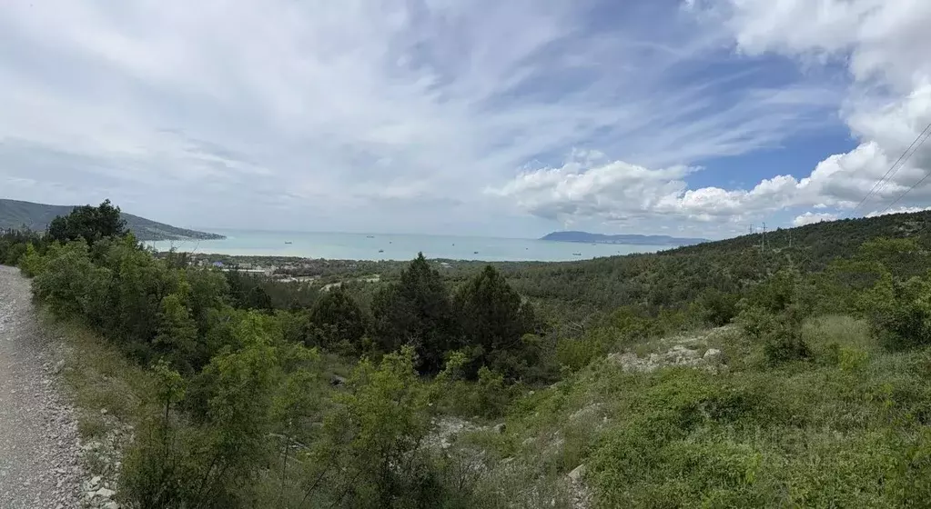 Участок в Краснодарский край, Геленджик  (80.0 сот.) - Фото 2