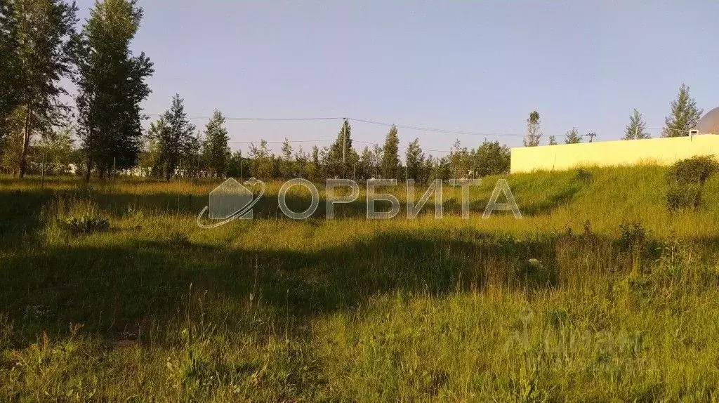 Участок в Тюменская область, Тюменский муниципальный округ, Горячий ... - Фото 0