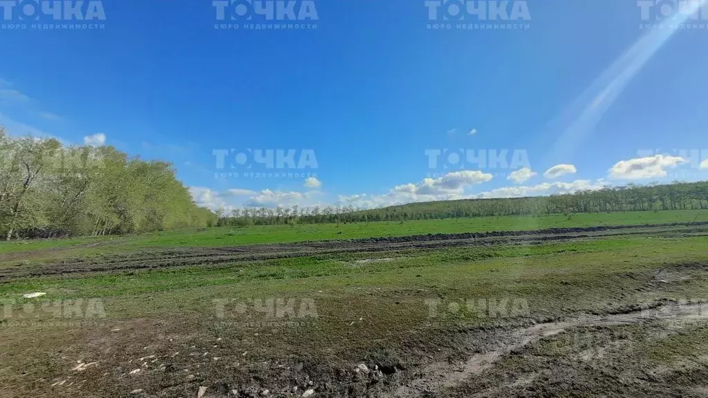 Участок в Челябинская область, Чебаркульский район, д. Сарафаново  ... - Фото 1