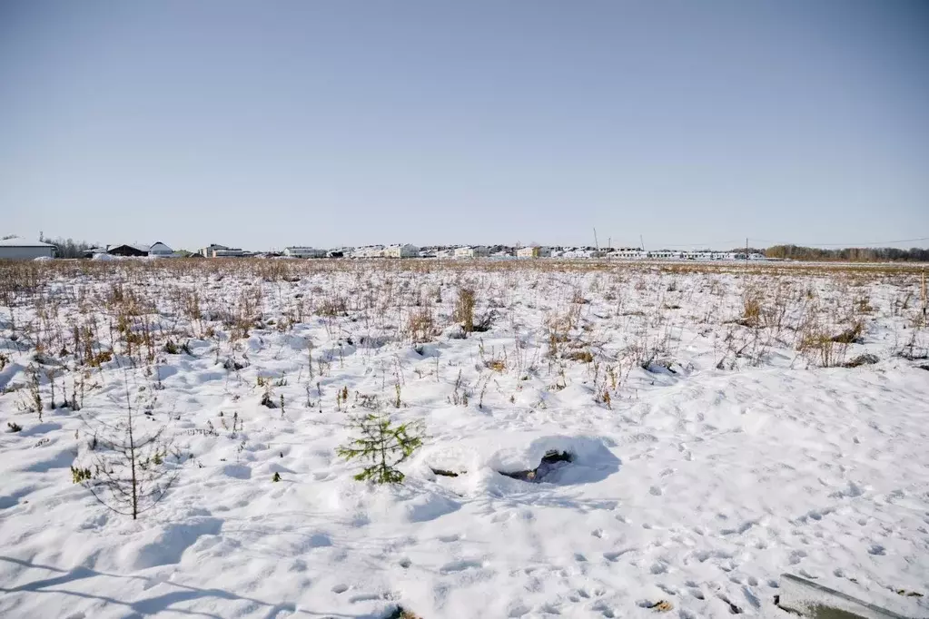 Участок в Новосибирская область, Мошковский район, пос. Октябрьский, ... - Фото 2