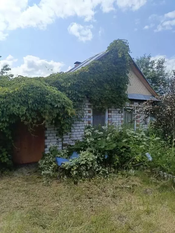 Дом в Нижегородская область, Богородский муниципальный округ, д. ... - Фото 1