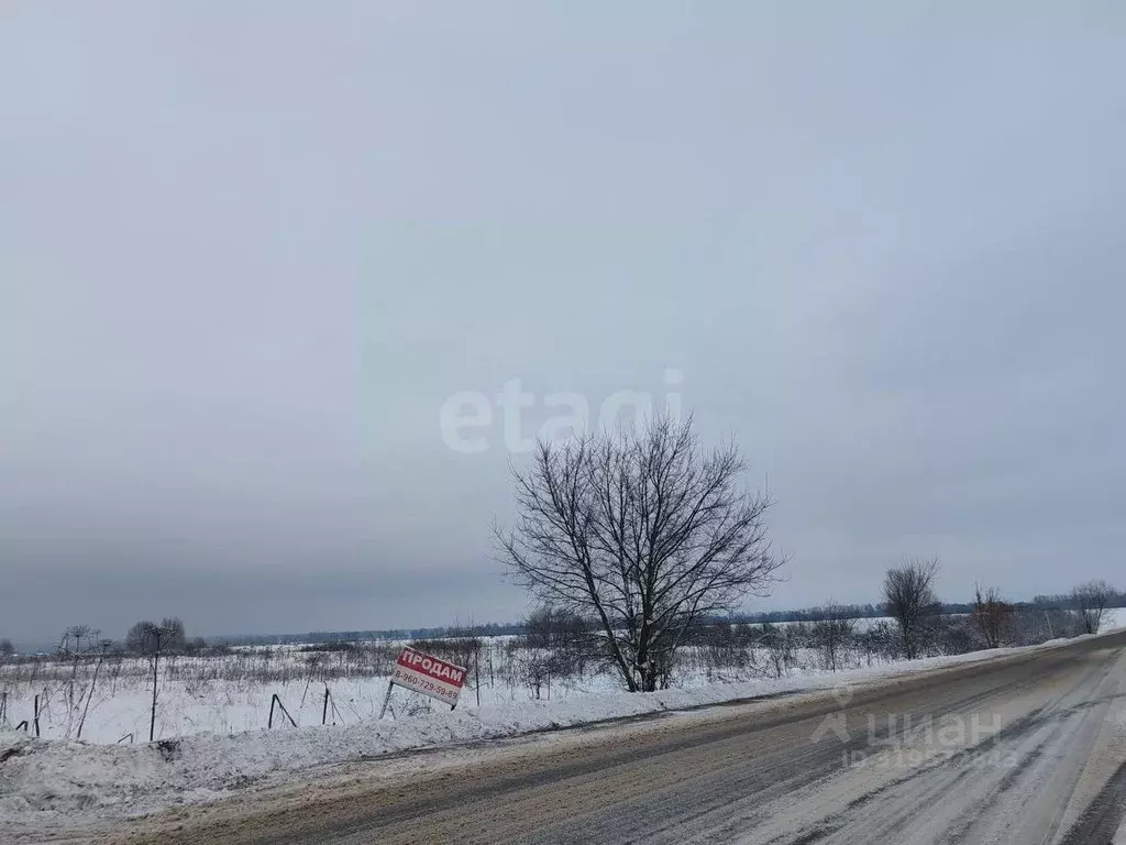 Участок в Владимирская область, Муром д. Петроково,  (214.08 сот.) - Фото 2