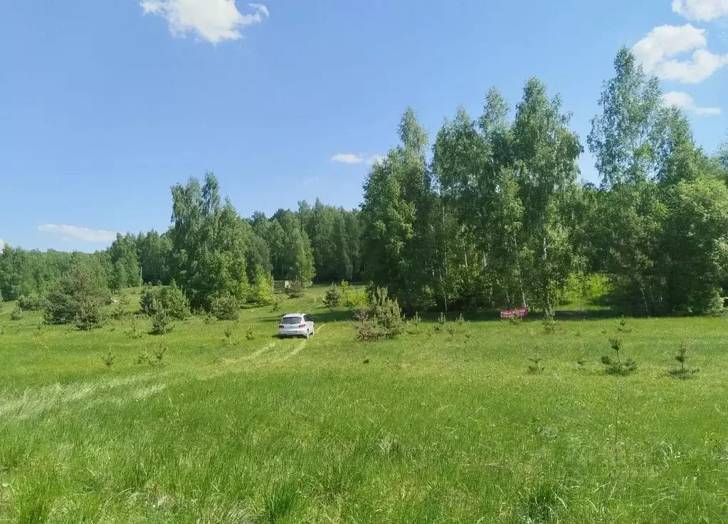 Участок в Калужская область, Калуга городской округ, д. Желыбино ул. ... - Фото 2