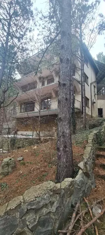 Дом в Крым, Ялта муниципальный округ, Виноградное пгт ул. Яузы (617 м) - Фото 1