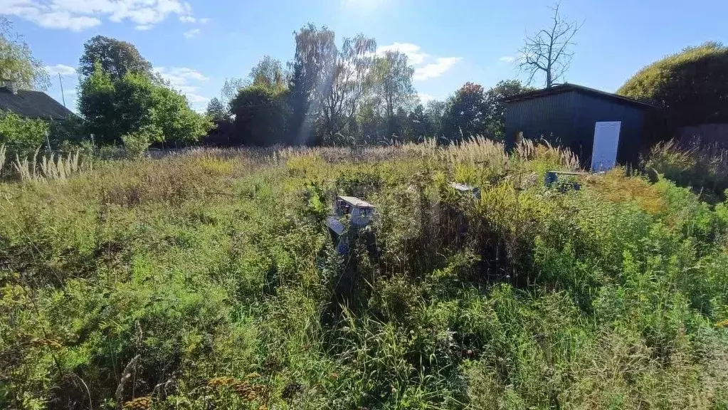 Участок в Костромская область, Красносельский район, Чапаевское с/пос, ... - Фото 1