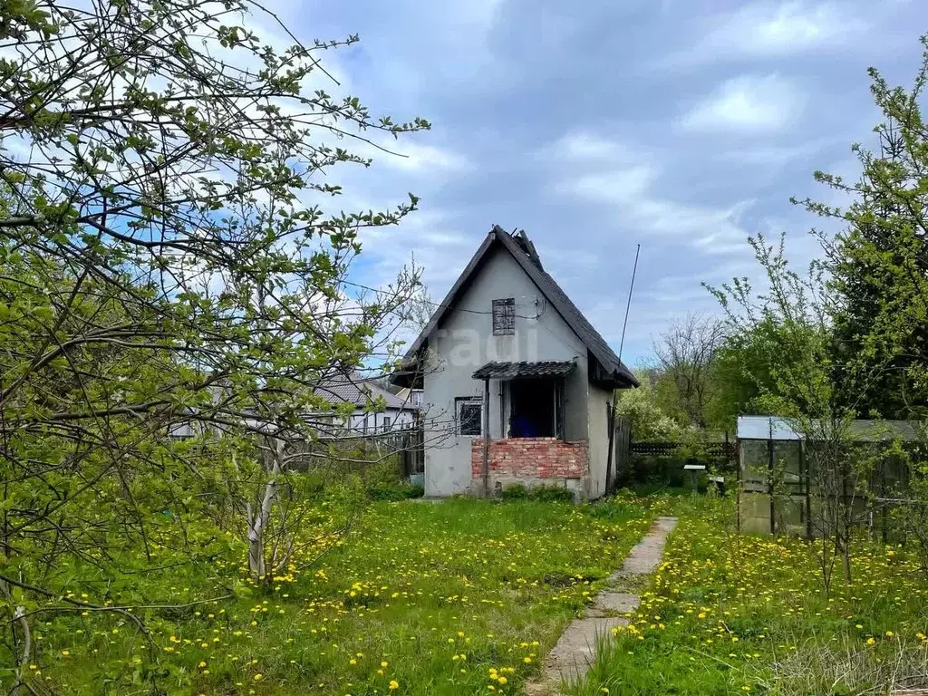 Участок в Калининградская область, Калининград Ромашка СНТ,  (4.6 ... - Фото 0