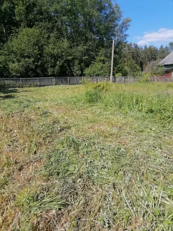 Участок в Новгородская область, Новгородский район, Савинское с/пос, ... - Фото 2