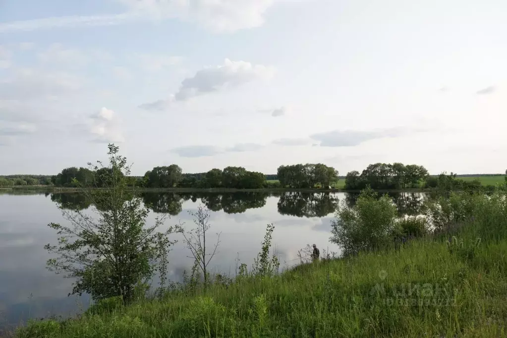 Участок в Московская область, Коломна городской округ, с. Бояркино  ... - Фото 1