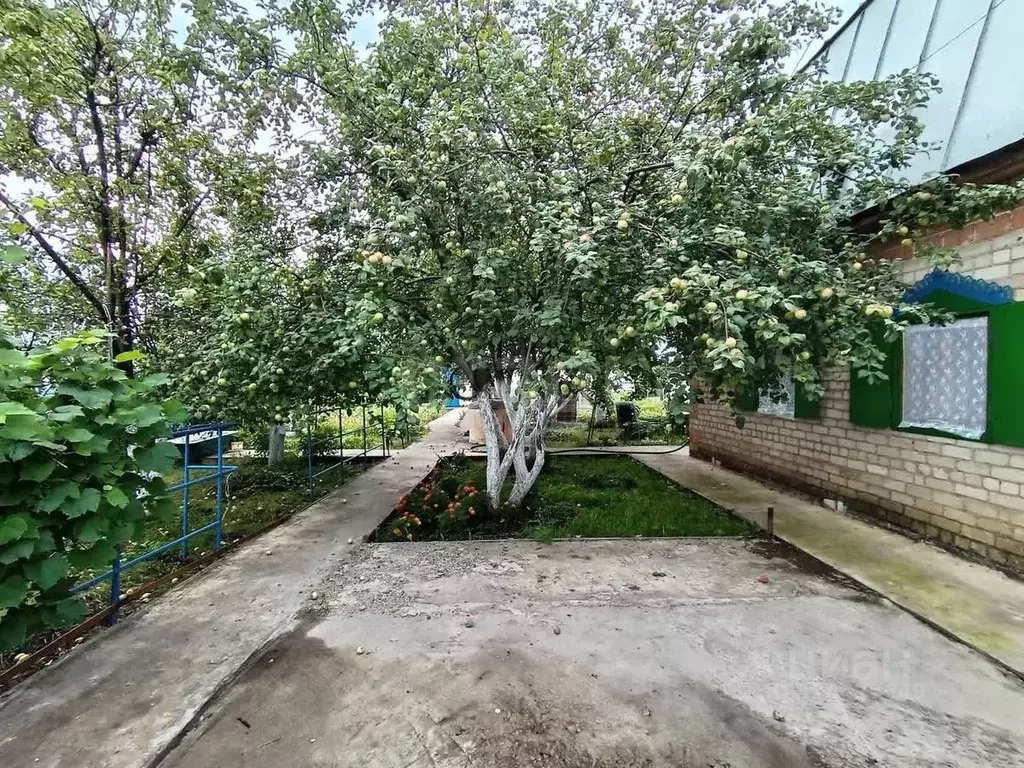 Участок в Башкортостан, Стерлитамакский район, Октябрьский сельсовет, ... - Фото 1