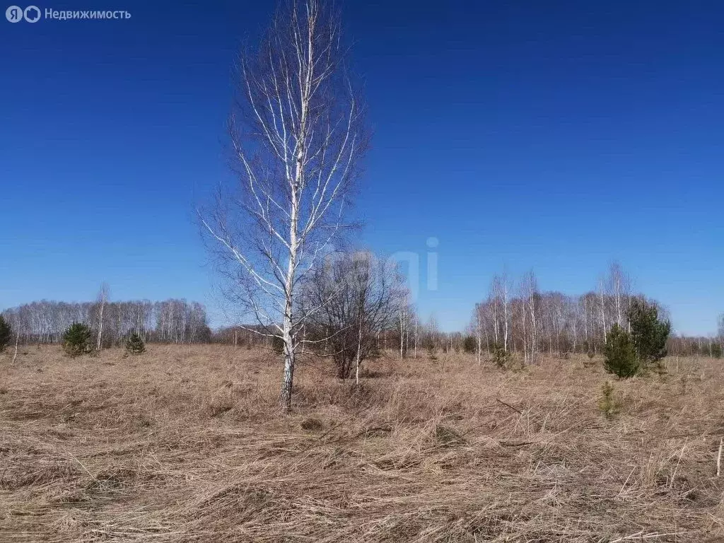 Участок в село Новолуговое (7 м) - Фото 1