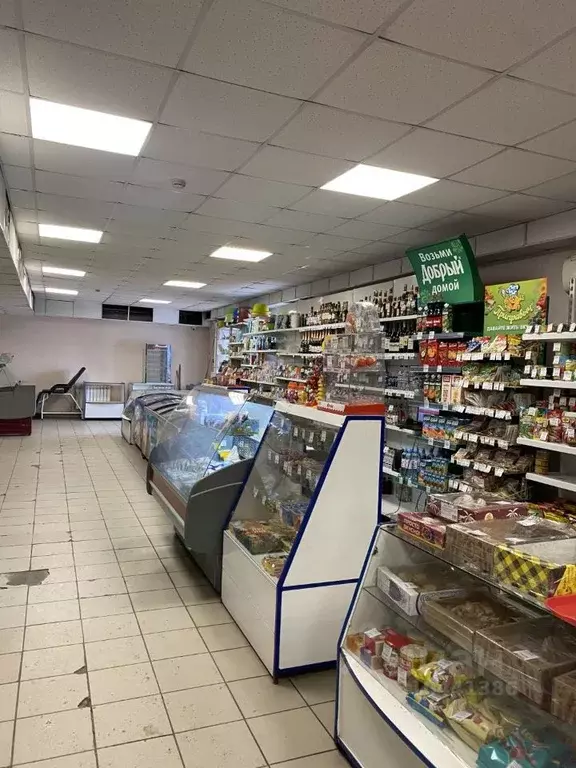 Торговая площадь в Алтайский край, Барнаул ул. Гоголя, 213 (501 м) - Фото 1