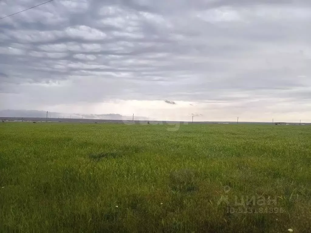 Участок в Крым, Черноморский район, с. Окуневка  (6.0 сот.) - Фото 1