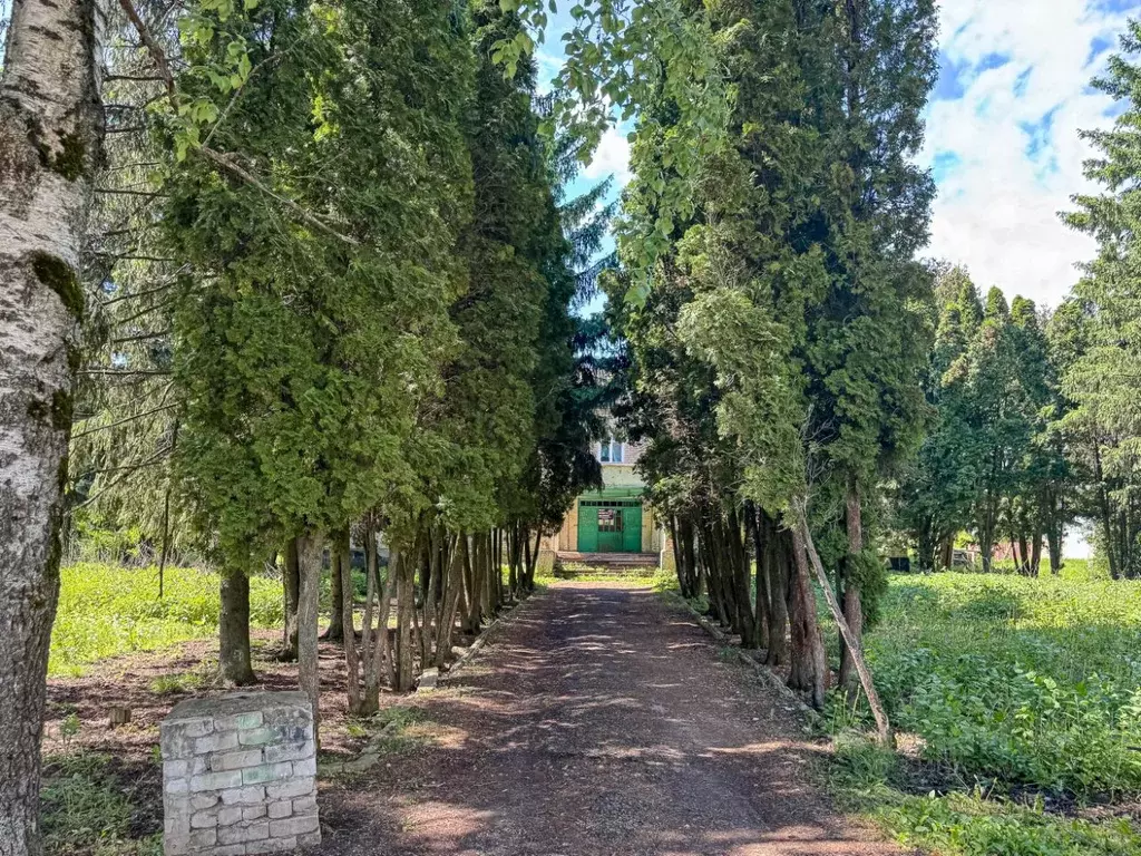 Помещение свободного назначения в Липецкая область, Становлянский ... - Фото 1