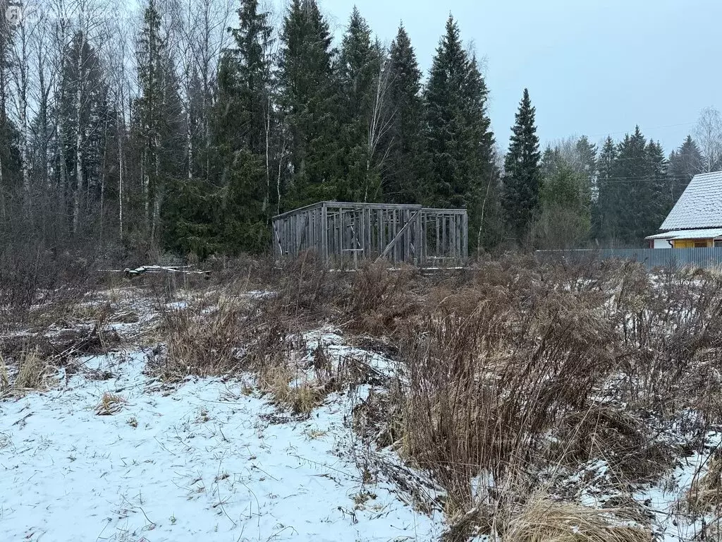 Участок в Владимирская область, Александровский муниципальный округ, ... - Фото 2