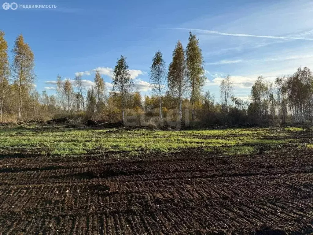 Участок в Тюмень, СНТ Липовый Остров, 9-я Западная улица (10 м) - Фото 2