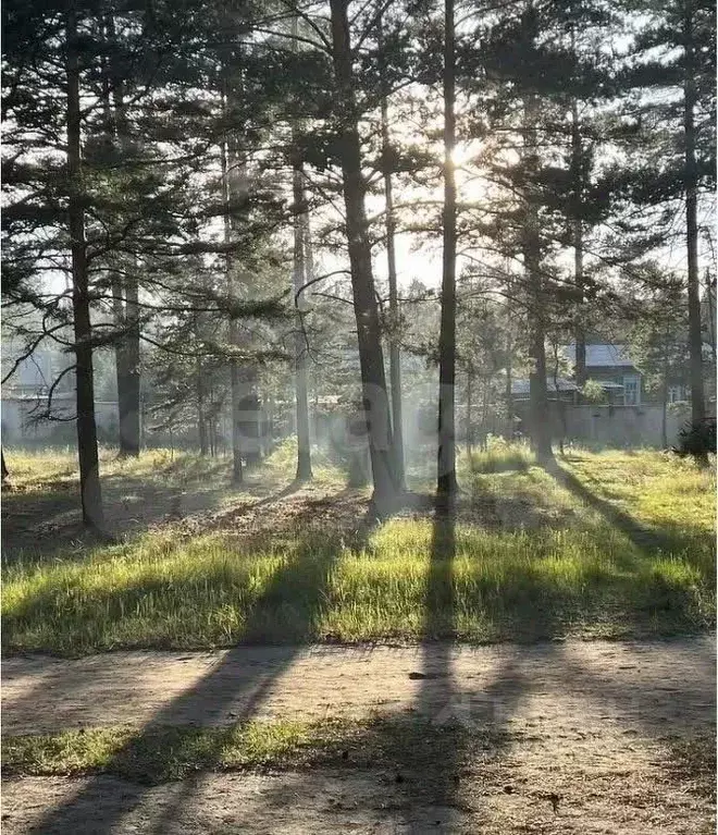 Участок в Бурятия, Улан-Удэ Челночок СНТ,  (7.6 сот.) - Фото 0