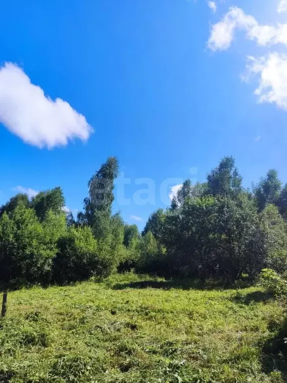 Участок в Алтай, Горно-Алтайск Коммунальщик-2 садовое товарищество,  ... - Фото 0