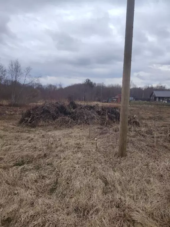 Участок в Ленинградская область, Ломоносовский район, Оржицкое с/пос, ... - Фото 1