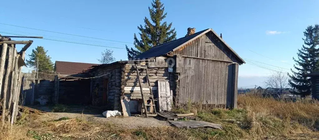 Дом в Новосибирская область, Колывань рп ул. Кузнецова (28 м) - Фото 0