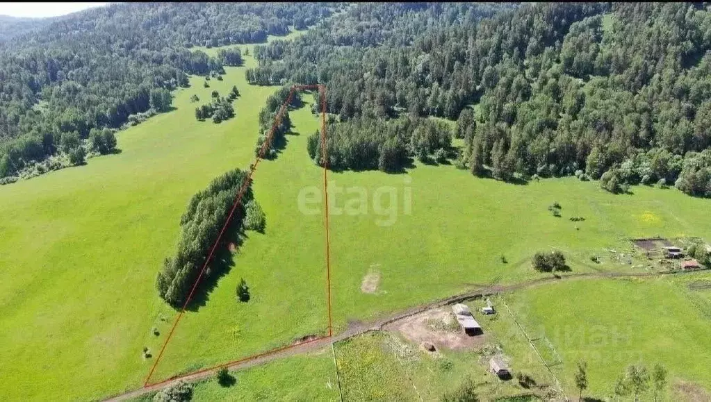 Участок в Алтай, Майминский район, с. Бирюля  (250.8 сот.) - Фото 1