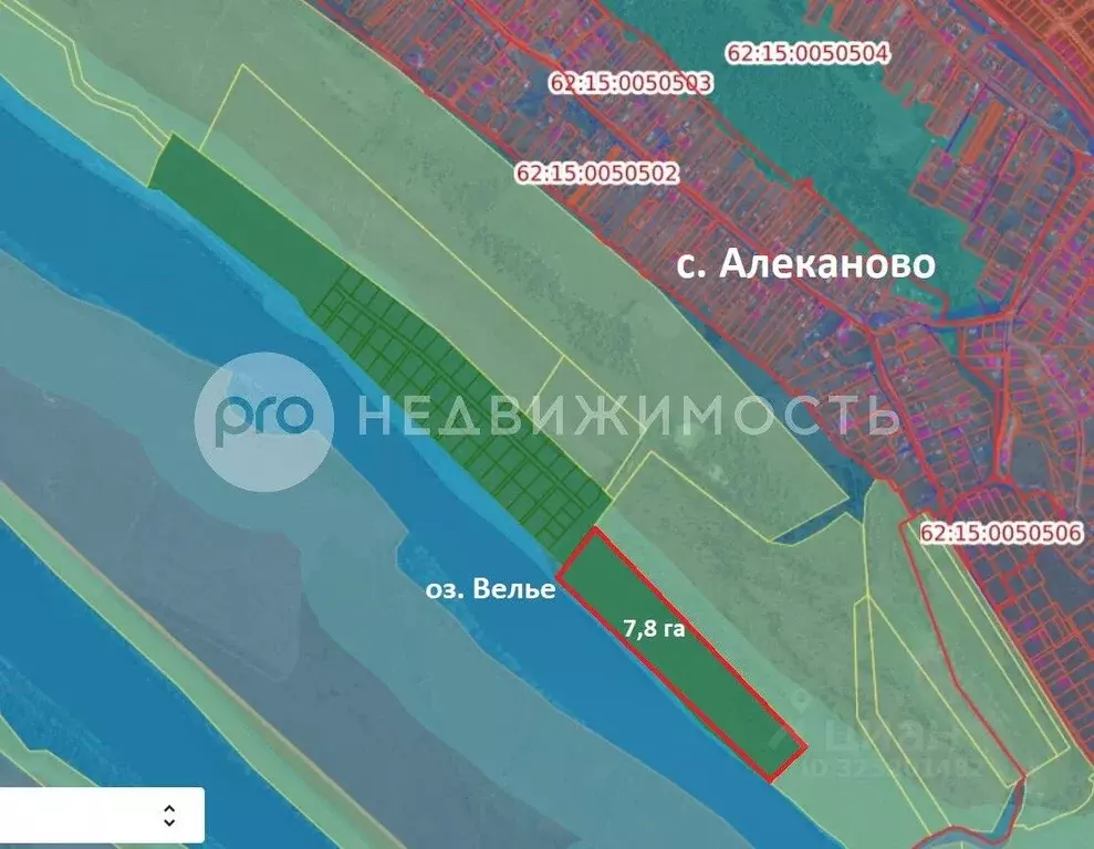 Участок в Рязанская область, Рязанский муниципальный округ, с. ... - Фото 2