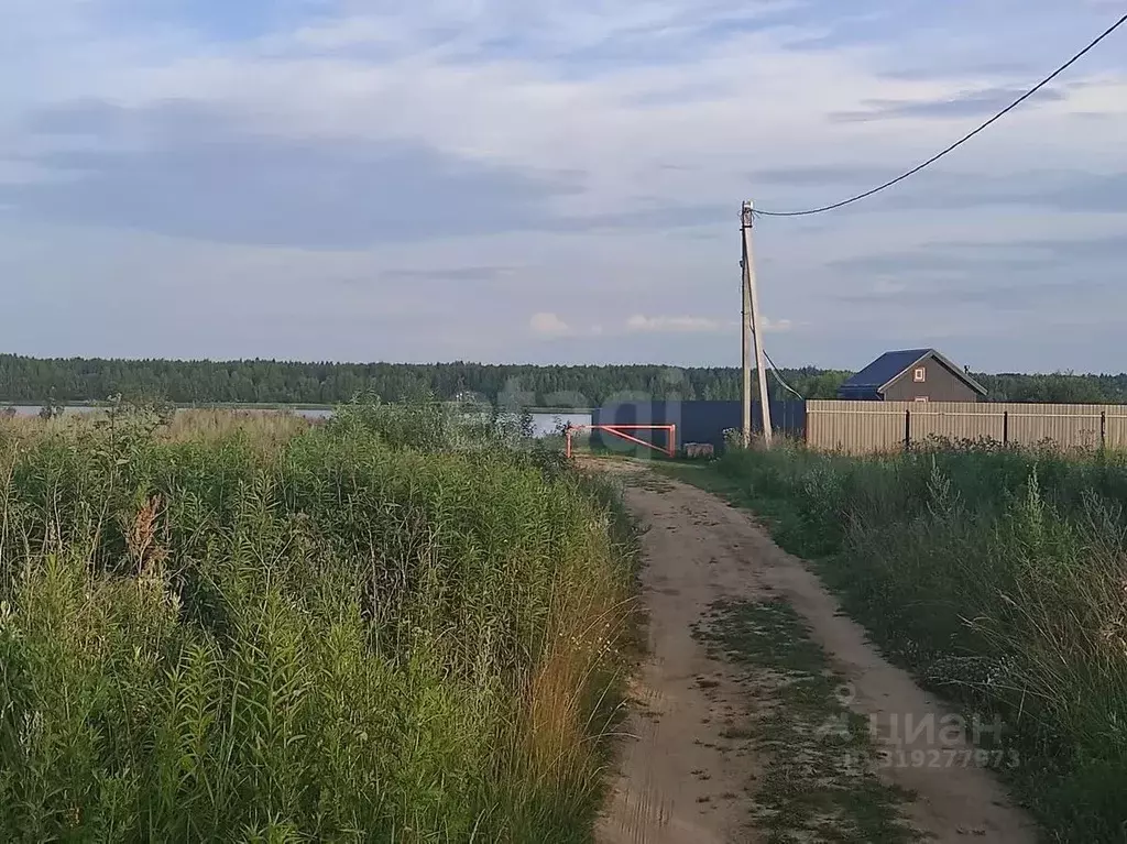 Участок в Ярославская область, Некрасовский муниципальный округ, ... - Фото 1