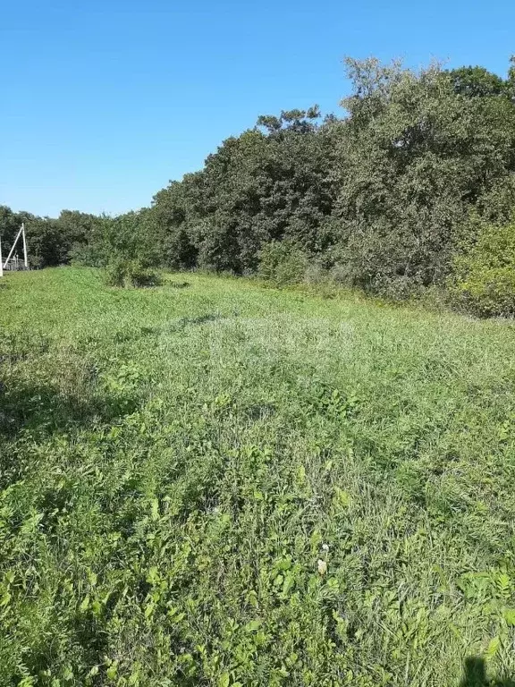 Участок в Амурская область, Благовещенский район, с. Каникурган  (25.0 ... - Фото 1