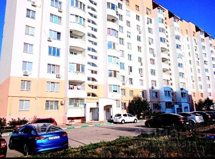 1-к кв. Саратовская область, Саратов ул. Имени В.И. Гришаева, 4 (34.0 ... - Фото 0