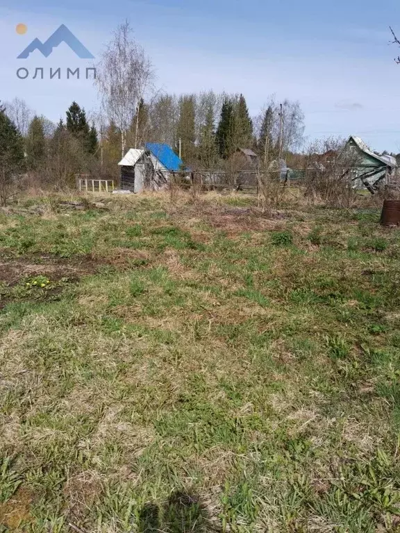 Участок в Вологодская область, Электрон садоводческое товарищество ... - Фото 0