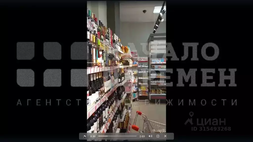 Торговая площадь в Новосибирская область, Новосибирск Советская ул., ... - Фото 1