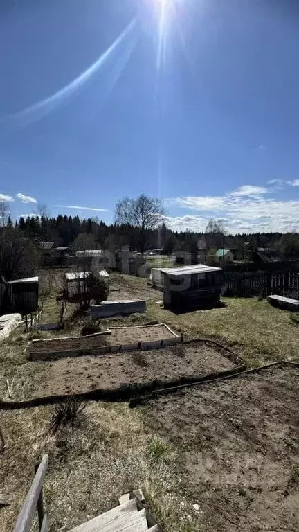 Участок в Пермский край, Добрянский муниципальный округ, д. Заборье ... - Фото 2