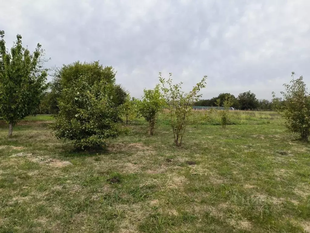 Участок в Краснодарский край, Динской район, Новотитаровская ст-ца ул. ... - Фото 2