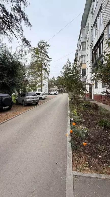 2-к кв. Алтайский край, Бийск ул. Декабристов, 2/1 (48.6 м) - Фото 2