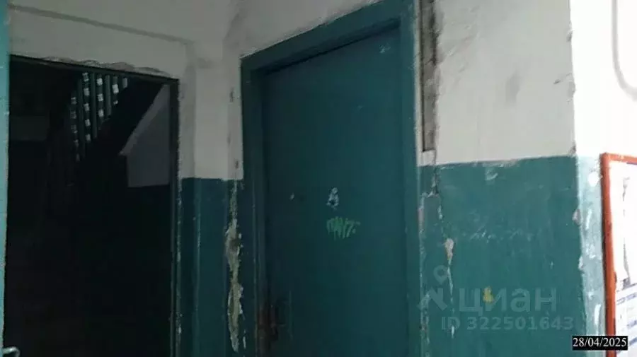 Помещение свободного назначения в Нижегородская область, Нижний ... - Фото 1