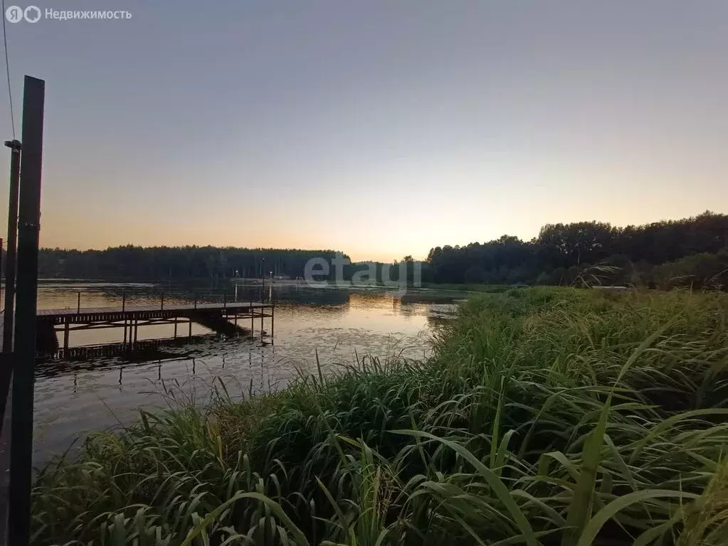 Участок в Красносельский район, Боровиковское сельское поселение, ... - Фото 1