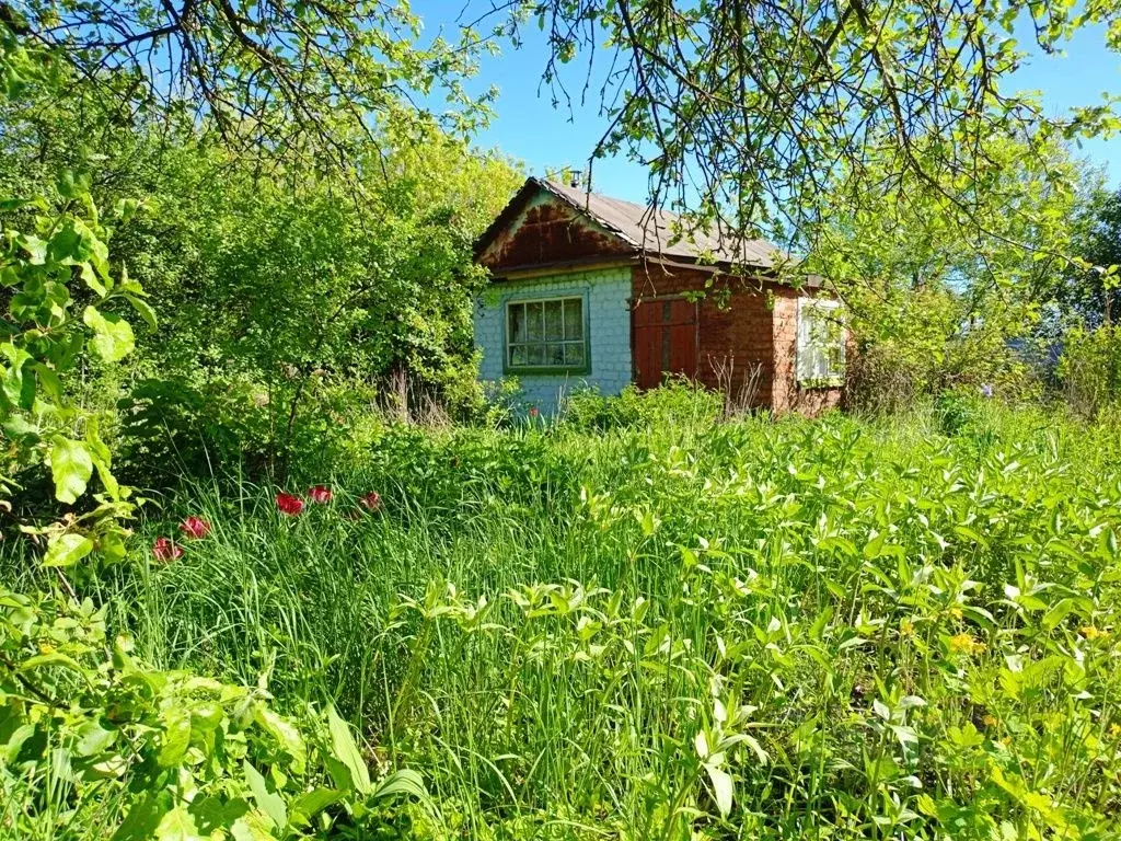 Дом в Орловская область, Орловский муниципальный округ, д. Ивановское, ... - Фото 1