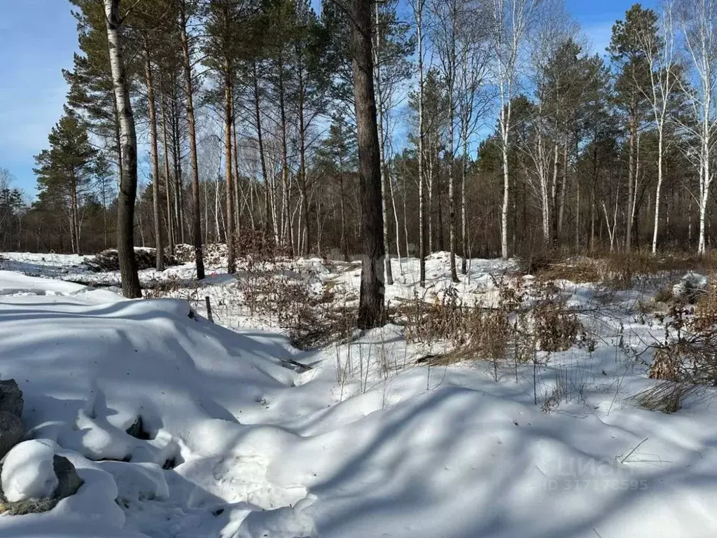 Участок в Амурская область, Благовещенск  (15.0 сот.) - Фото 0