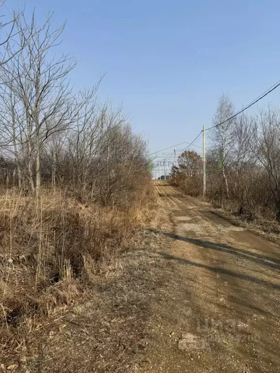 Участок в Приморский край, Артемовский городской округ, с. Кролевцы ... - Фото 2