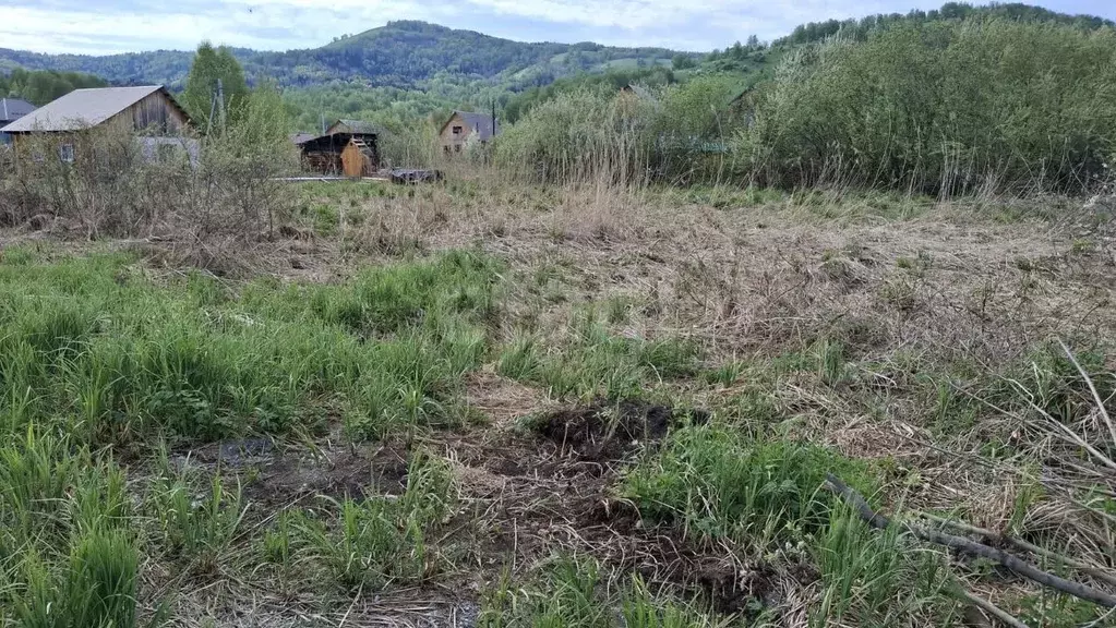 Участок в Алтай, Майминский район, с. Кызыл-Озек ул. Напалковой (10.2 ... - Фото 1